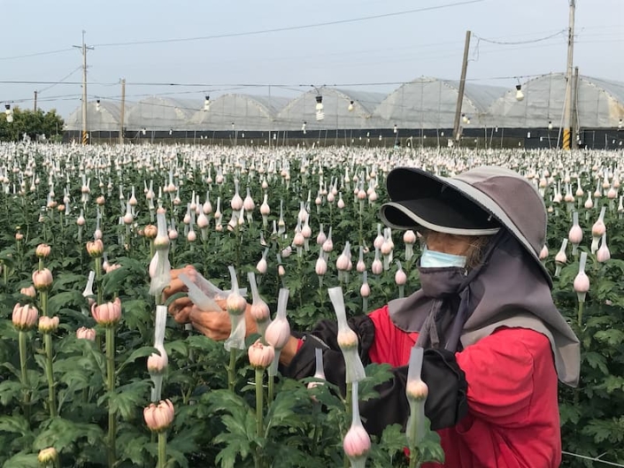 DA89E9BF-F5F9-41B4-8861-E30B4B1793BD (1)