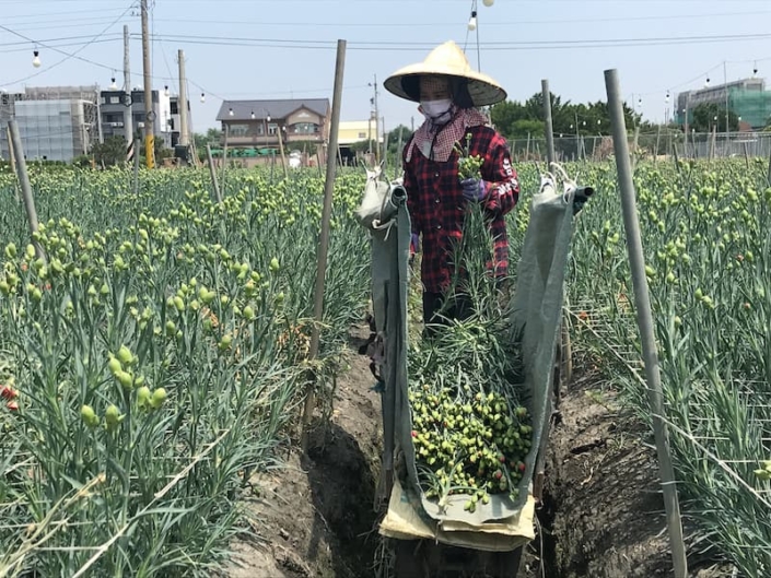 101FD99D-6012-4891-9D7D-57EDF9E71886