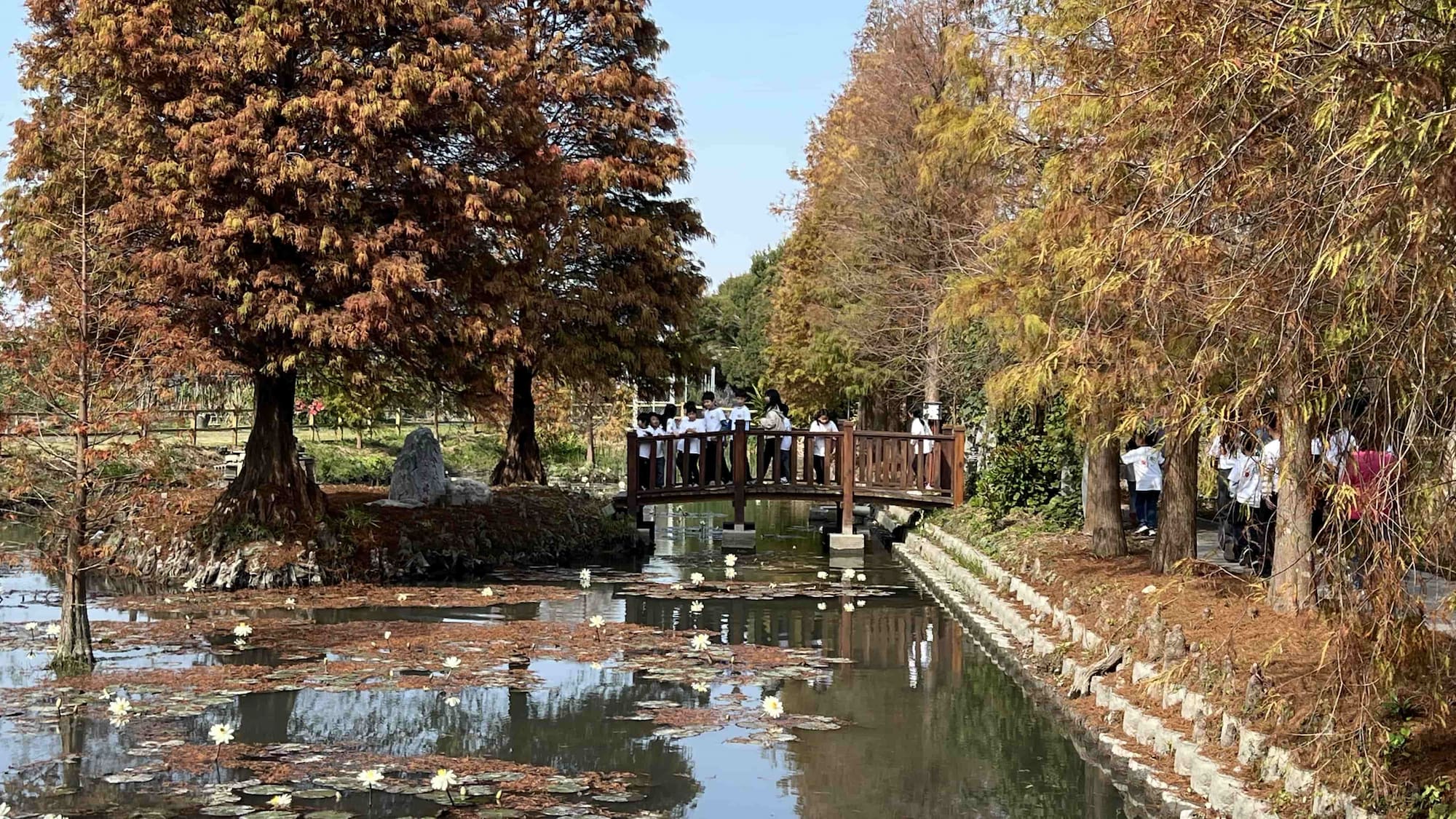 20260203_060459641_iOS (1)